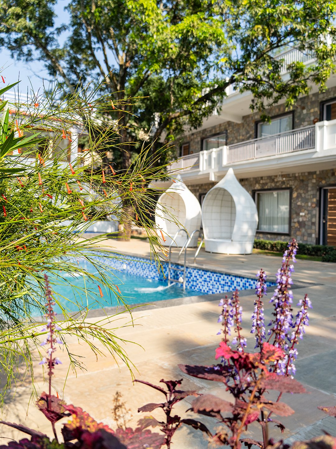 Nature Resort